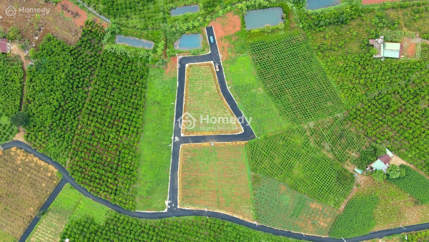 Dự án đất nền thổ cư Khu dân cư DamBri Bảo Lộc